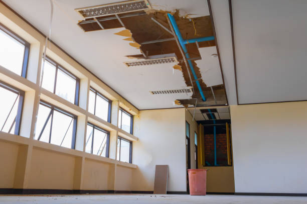Best Ceiling water damage repair  in Plainview, TN