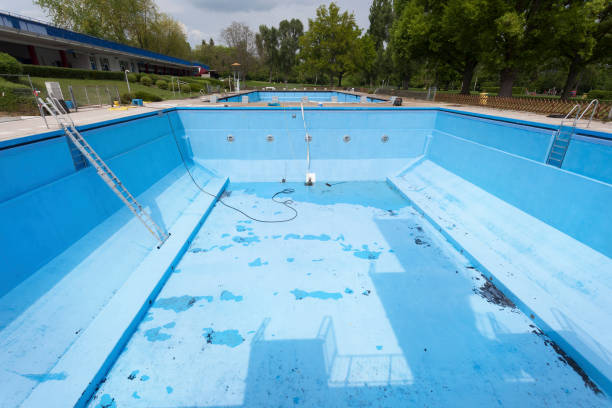 Best Professional water damage repair  in Plainview, TN