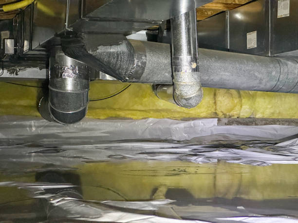 Best Flooded house restoration  in Plainview, TN