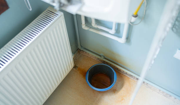 Best Fire Damage Restoration  in Plainview, TN