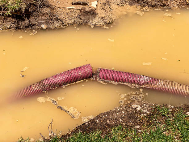 Best Water damage restoration near me  in Plainview, TN